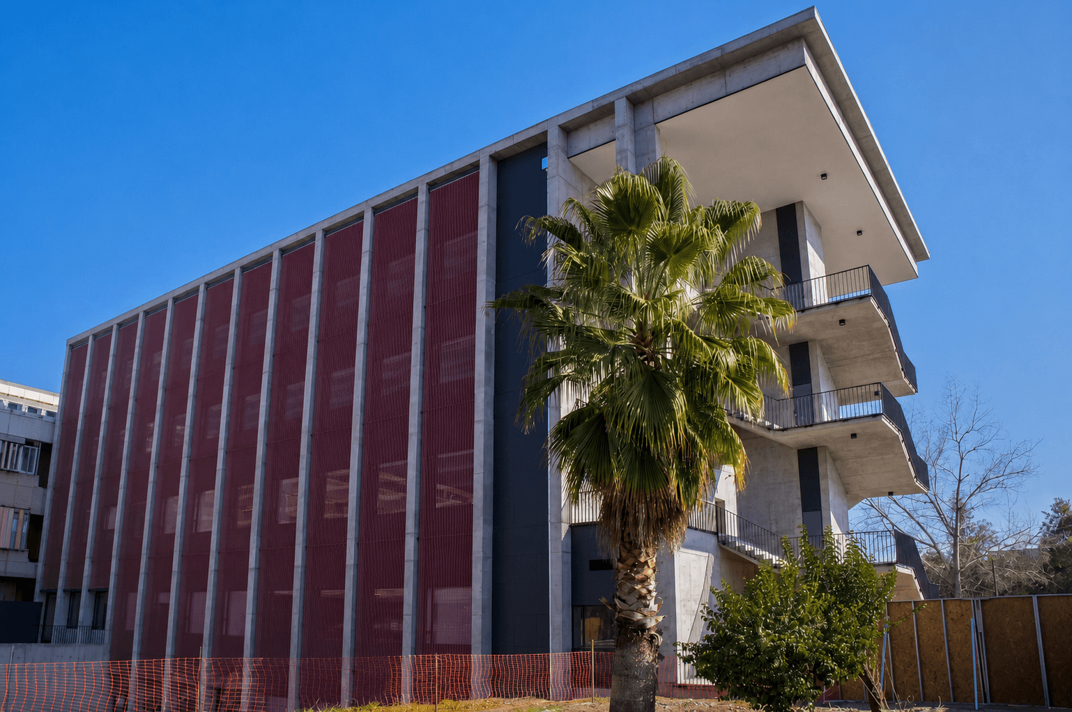 Edificio universitario con una palmera frente a su fachada