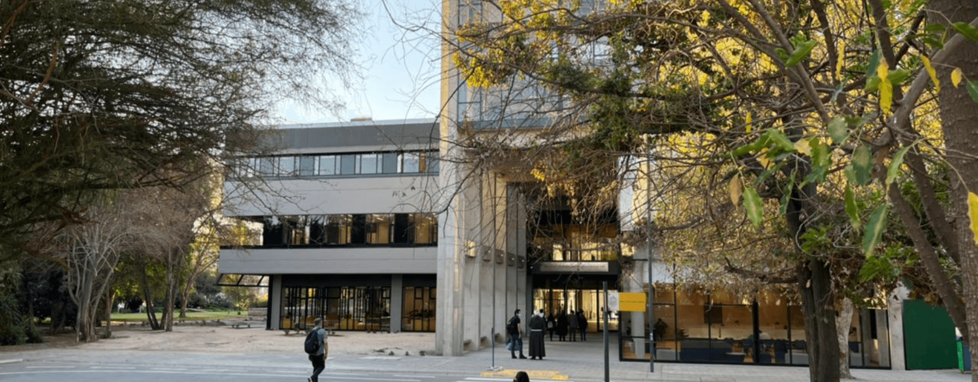 Acceso peatonal a un edificio universitario rodeado de árboles